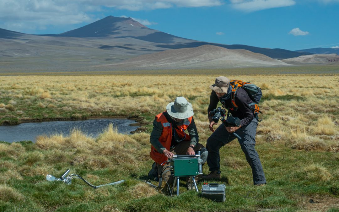 Plan de Puesta en Valor Salar de Pedernales