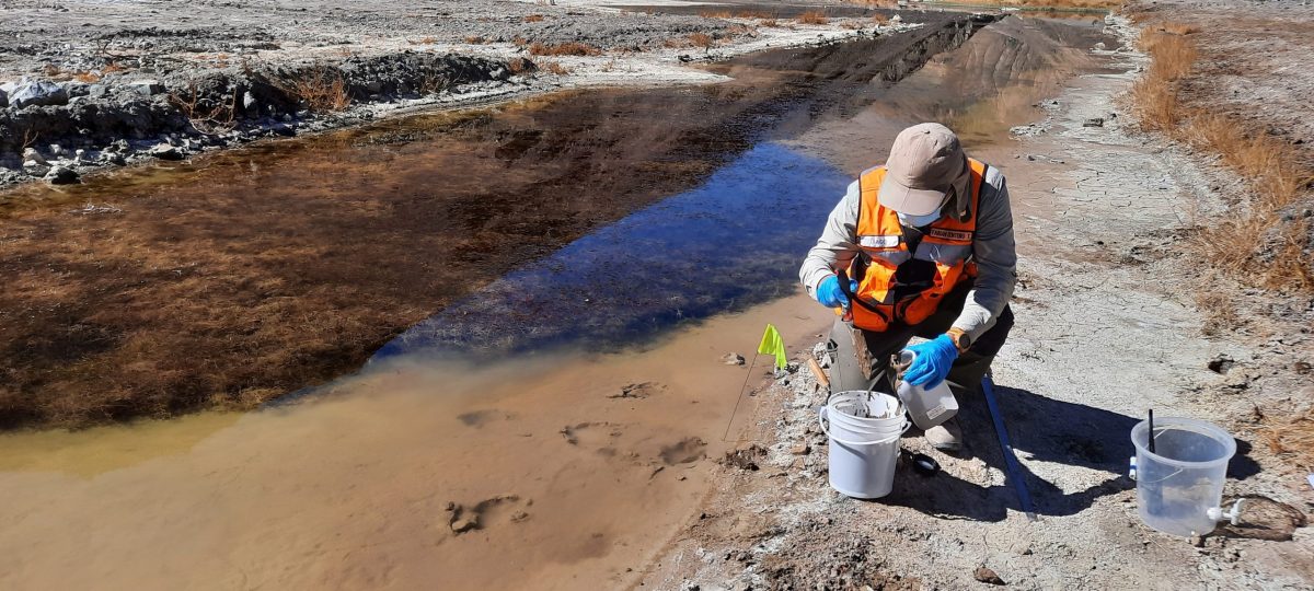 6.Analisis del Impacto Ambiental de Derrames de Concentrado Mineral en Ecosistemas Acuáticos y Terrestre
