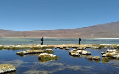 SMI-ICE-Chile joins new research ring on Andean salt flats and lithium extraction