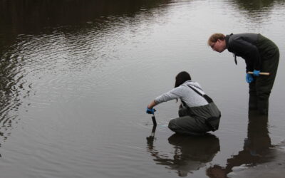 Researchers from SMI-ICE-Chile, the University of Edinburgh and Universidad del Desarrollo carry out exploration and sampling campaign in Valparaíso Region wetlands