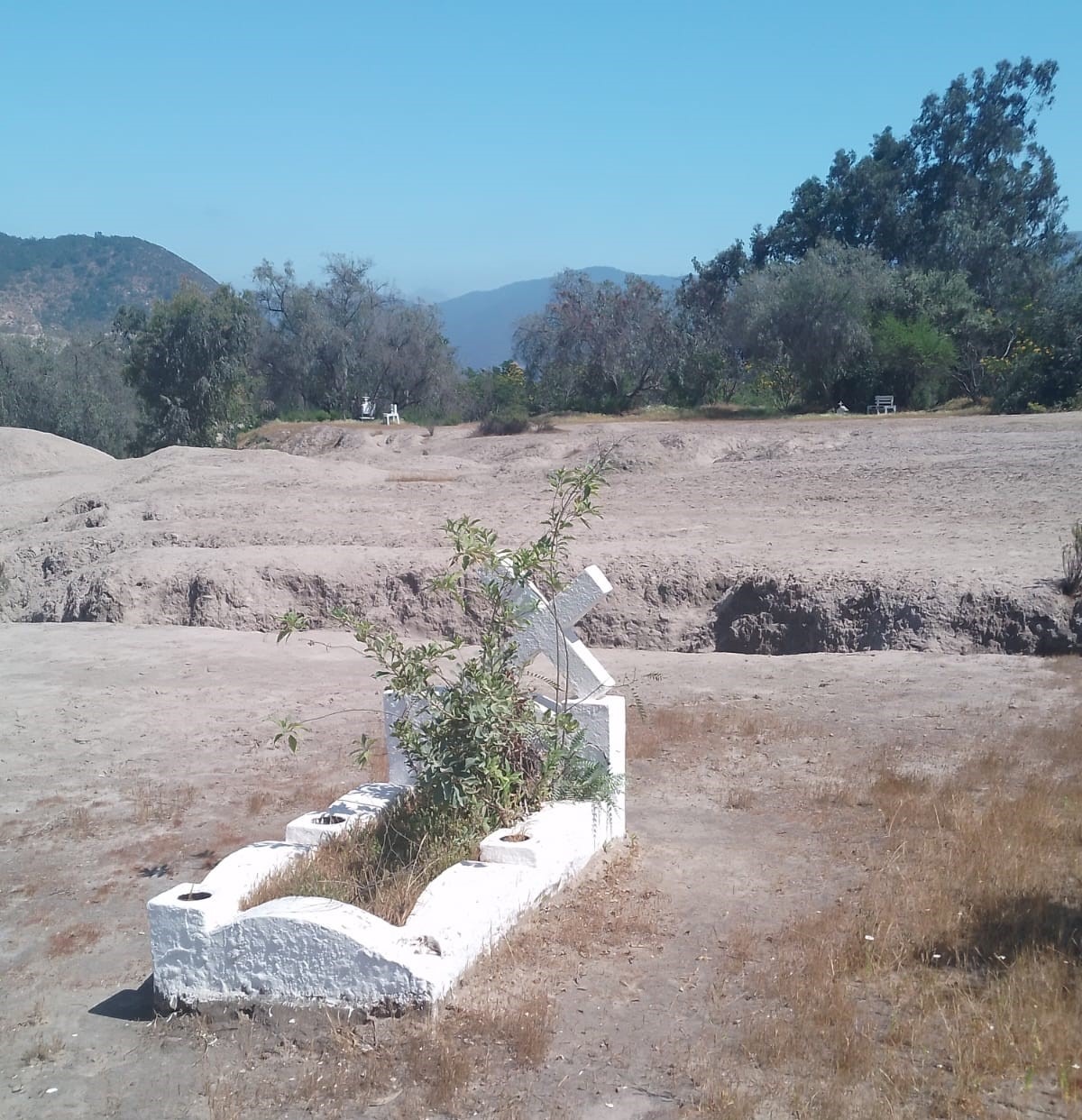 IMG-20250326-WA0047