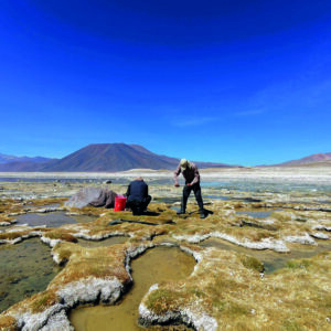 Fundamentos de la rehabilitación ambiental y dinámicas ecosistémicas
