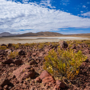 Sostenibilidad minera y gestión socioambiental de proyectos